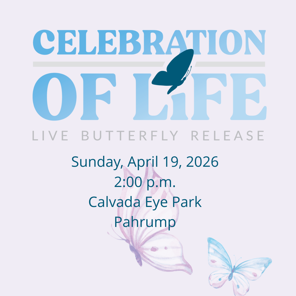 Social Media Butterfly 2026 PAH